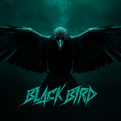 BLACK BIRD