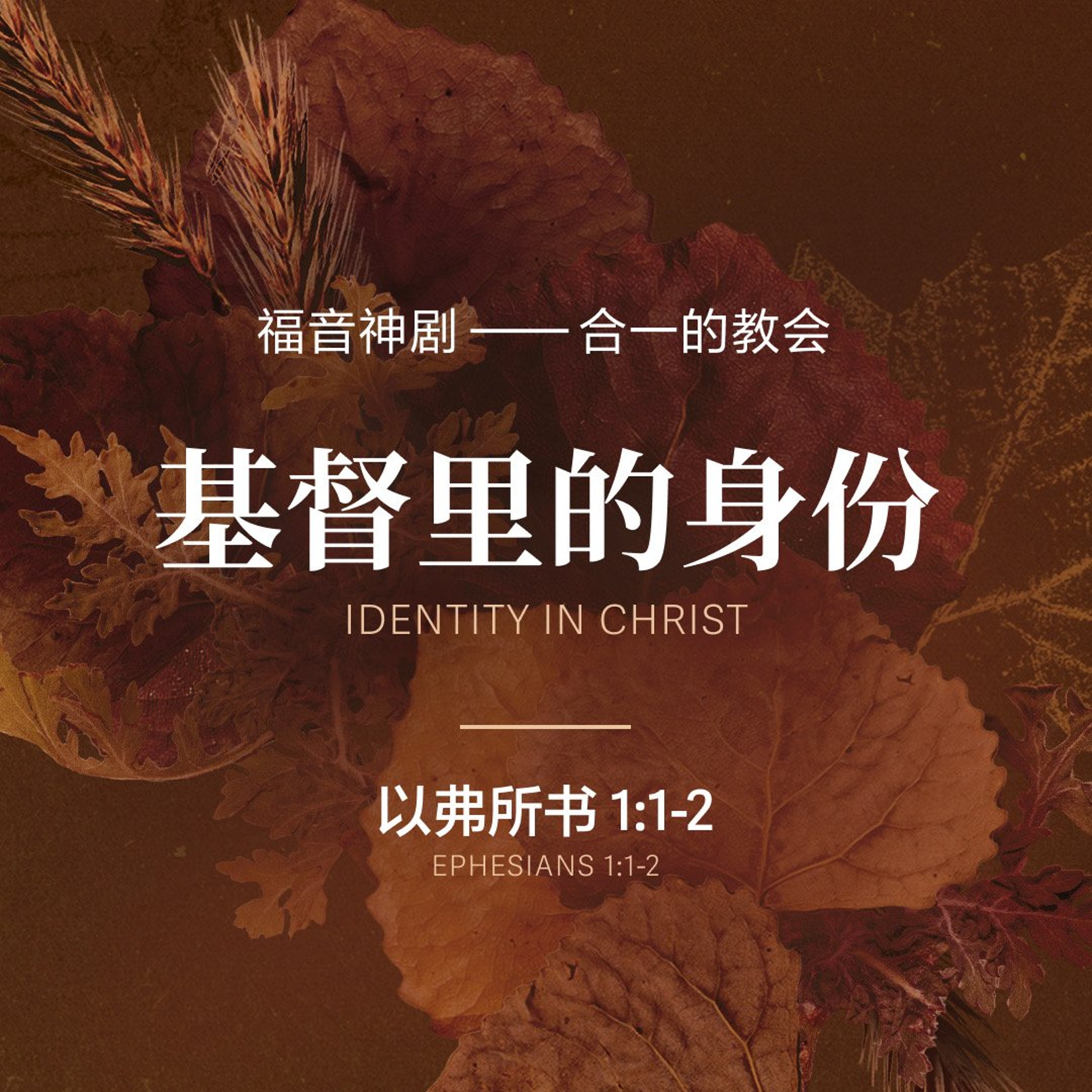 10/11/2026 【福音神剧】  合一的教会 – 基督里的身份（弗 1:1-2） —— 王唯权 牧师