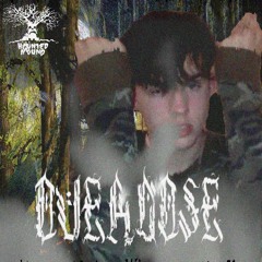 OVERDOSE *LEAK* (BLE55ING HEAVEN REMIX)SEMATARY