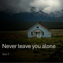 Never leave you alone