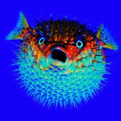 pufferfish [live sesh]