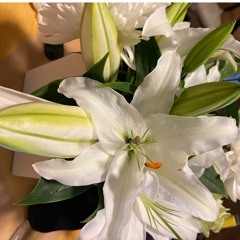 Soon You'll Love Again