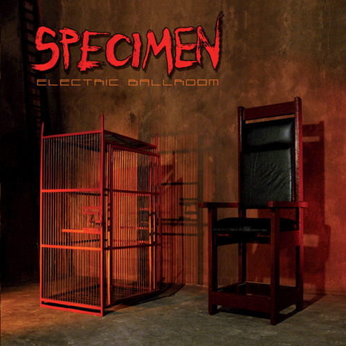 Stream Kiss Kiss Bang Bang by Specimen | Listen online for free on  SoundCloud