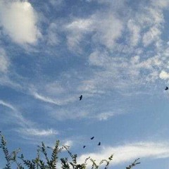 مضيتُ بنور النور ومِلئ الروح بهاء. 🕊️