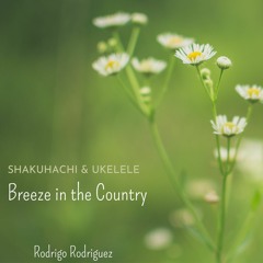 Breeze In The Country - Rodrigo Rodriguez