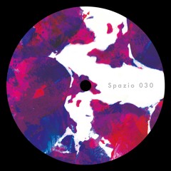 Spazio030 - ADIEL - (What You Want) Is Music EP