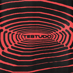 Oli Lewis - Testudo