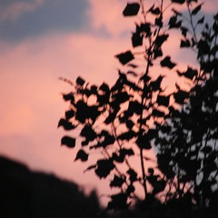 Seq92 M    Dark Tango - Tango Oscuro 1