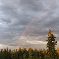 30,000 pairs - w/ stephen