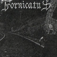 Fornicatus - My grave