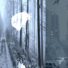 SNOW SLEEPER  [2022 ARCHIVE]