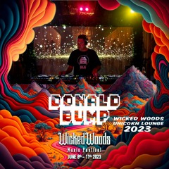 Donald Bump - Wicked Woods 2023 / Unicorn Lounge