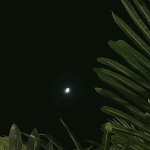 عصيان الذاكرة