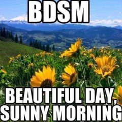 bdsm