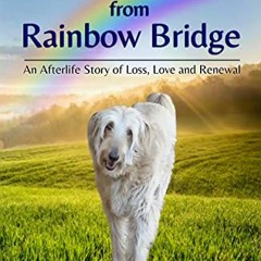 [Read] [KINDLE PDF EBOOK EPUB] Jack McAfghan: Return from Rainbow Bridge: An Afterlif