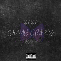 Dumb Crazy (Remix)