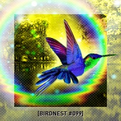 BIRDNEST #099 | BirdLin Calling | Podcast by The Lahar