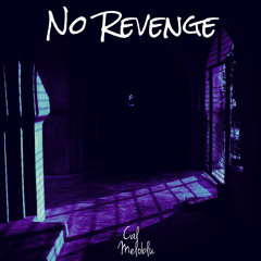 No Revenge