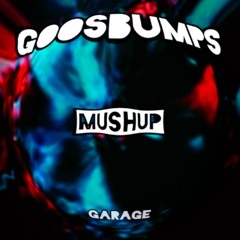 GOOSBUMPS  GARAGE MushUp