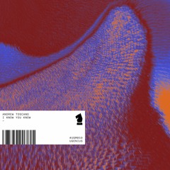 PREMIERE: Andrew Toscano - I Know You Know (Original Mix) [UGenius Music]