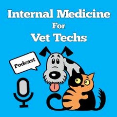 VAN 038-Podcast Mashup! VAN and IM for Vet Techs Podcast