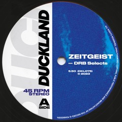 DRB Selects - Zeitgeist (Free Download)