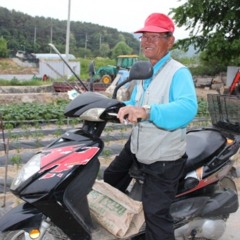 옆집 춘재할범도 썩다리 혼다스쿠터타고 레드존 봉봉넣으면서 120 밞는 노래