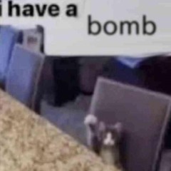 subi's music portfolio