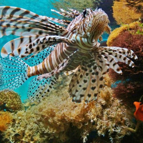 --- v --- x-- game background FREE DOWNLOAD