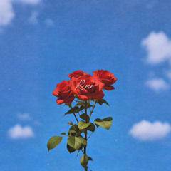 Roses (Afrohouse Remix) | Jamek Ortega x Outkast
