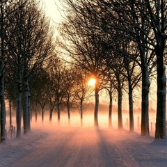 Winter Sun Song