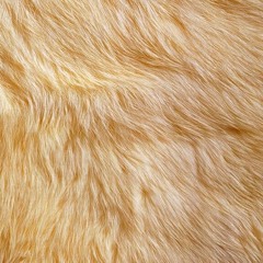 Megerkezos  (sped Up)