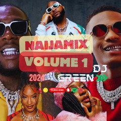 Naija Mix 2024 | Best of Afrobeats 2024 | Davido | Burna Boy | Arya Starr