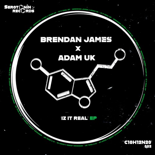Brendan James X Adam (UK) - Visualize (Original Mix) (Out Now)