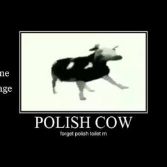 polish cow