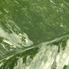 Lottie Dottie - Check Out My Plants (Charlotte's Version)