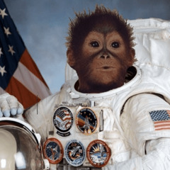 Space Mission Tune Monkey - [Hard House]