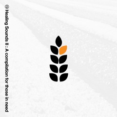 Comp Series [2014 - Present]