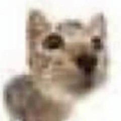 MADAME{[DJ KAPNOS 7.70 b00TL3G}]