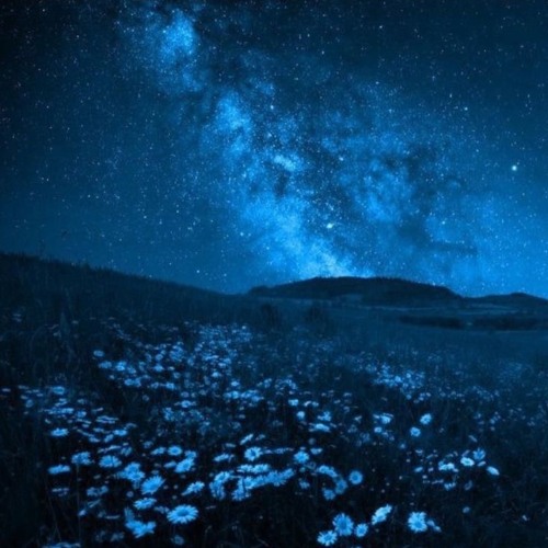 Dans les cieux (prod.rollie).mp3