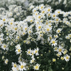 Wonderful U -Covered by｜ MC 張天賦.mp3