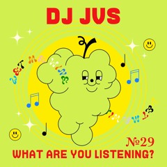 №29: DJ JVS