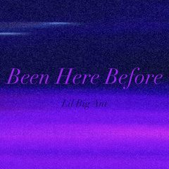 Lil Big Ant - Been Here Before