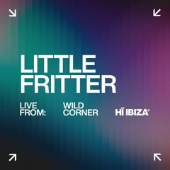 Little Fritter - Live At The Wild Corner 2023