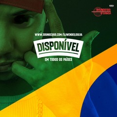BÔNUS INVADINDO A GRINGA - AS BRANQUELAS ( DJ WENDELLSIILVA REMIX )