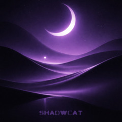 velvet sky | a melodic house mix