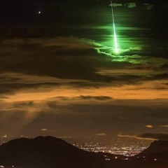 Heart Full of Pain-Young Phoenix