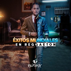 Color Esperanza - Husky