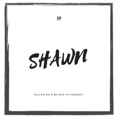 世界未末日 vs. Wake Me UP(SHAWN mashup)
