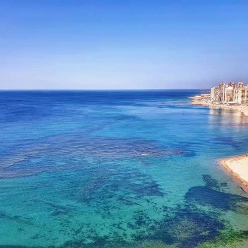 هانى شاكر   رسالة